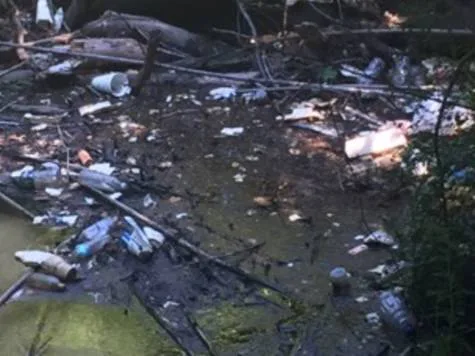 Save Carpenter Creek!