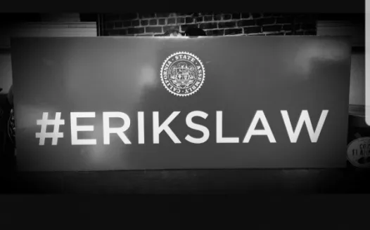 Support for Assembly Bill 665, Erik's Law