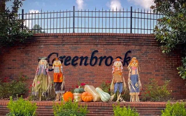 Greenbrook Subdivision Elementary Rezoning