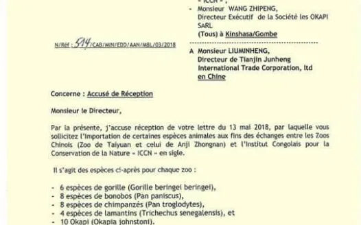 Stop Congolese government from exporting our endemic wildlife to china