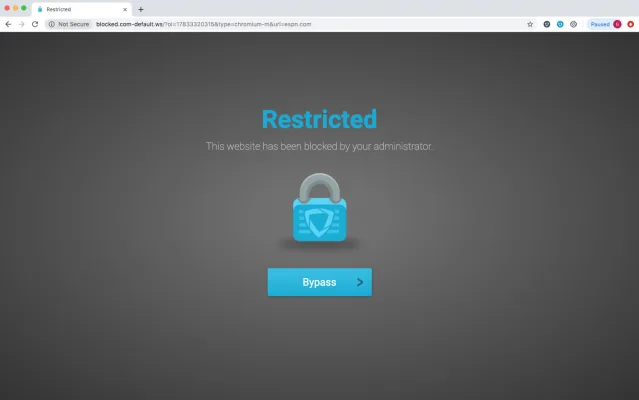 Privacy Matters! Stop GoGuardian!