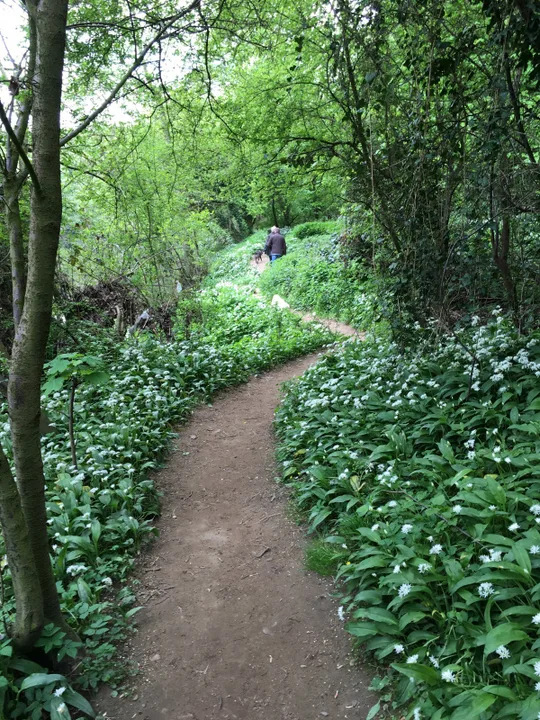 Save our Green Belt  Calcutt and Knaresborough