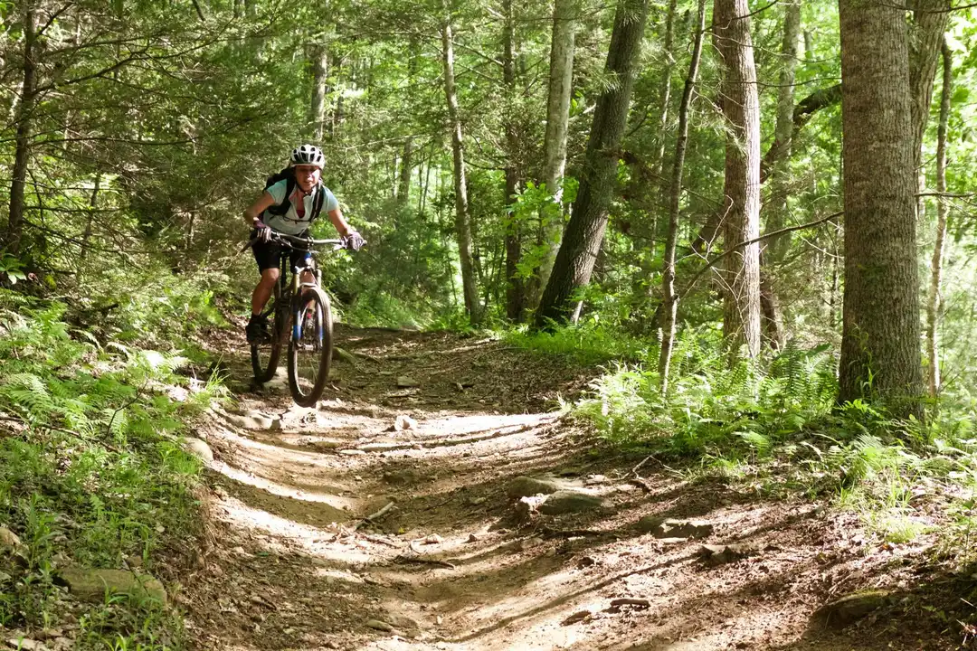 Save the Fort Pierce Mountain Bike Trail