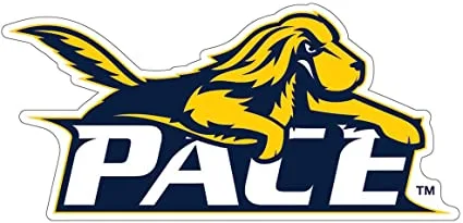 Save Pace Basketball - Delay Gym Renovation