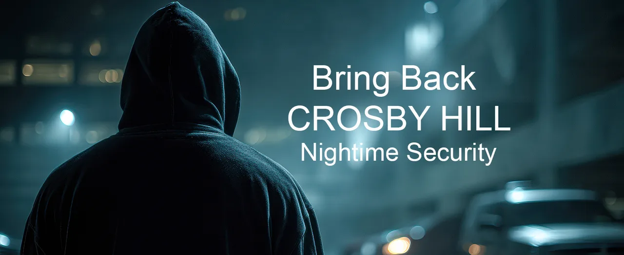 Bring back Crosby Hill night time Security