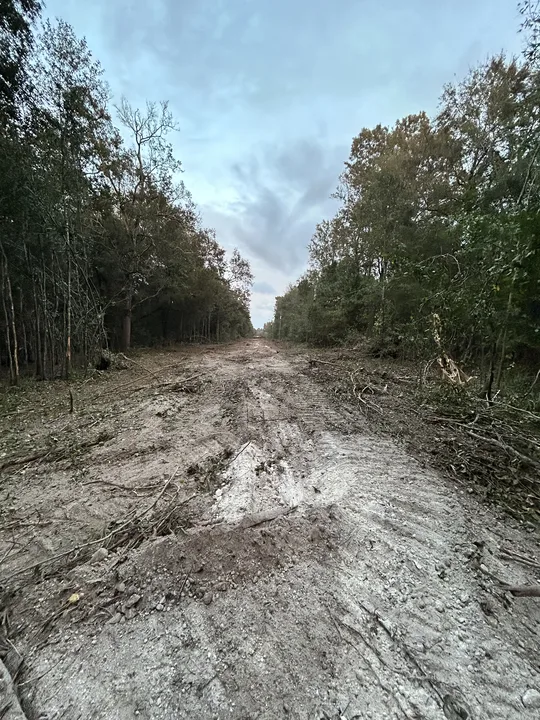 Stop overdevelopment in Old River