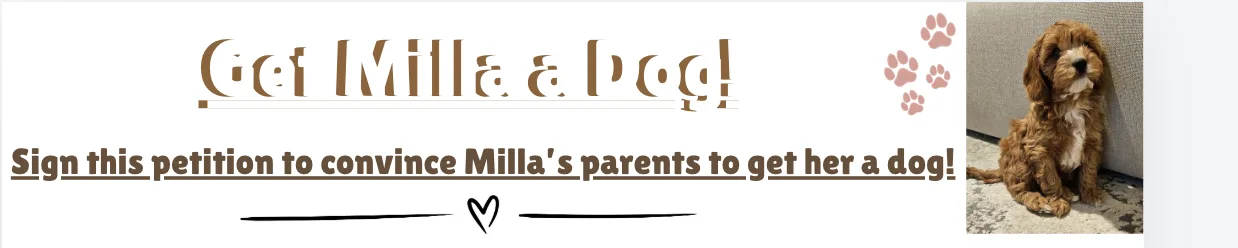 Help get Milla Cocciolone a dog!