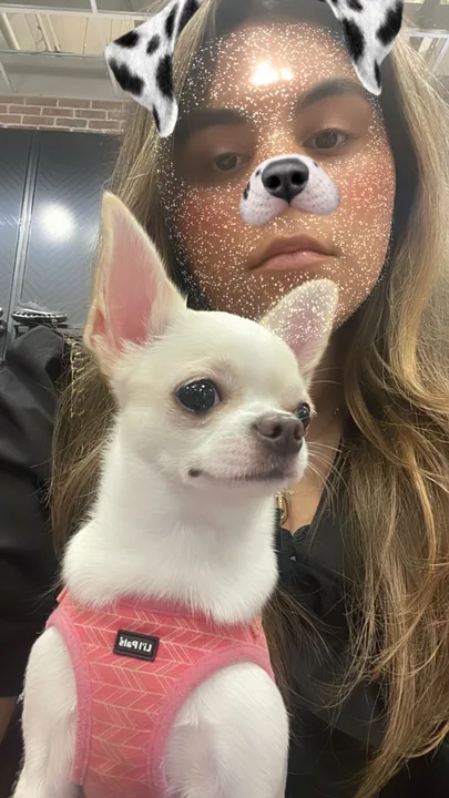 Get MJ a dog