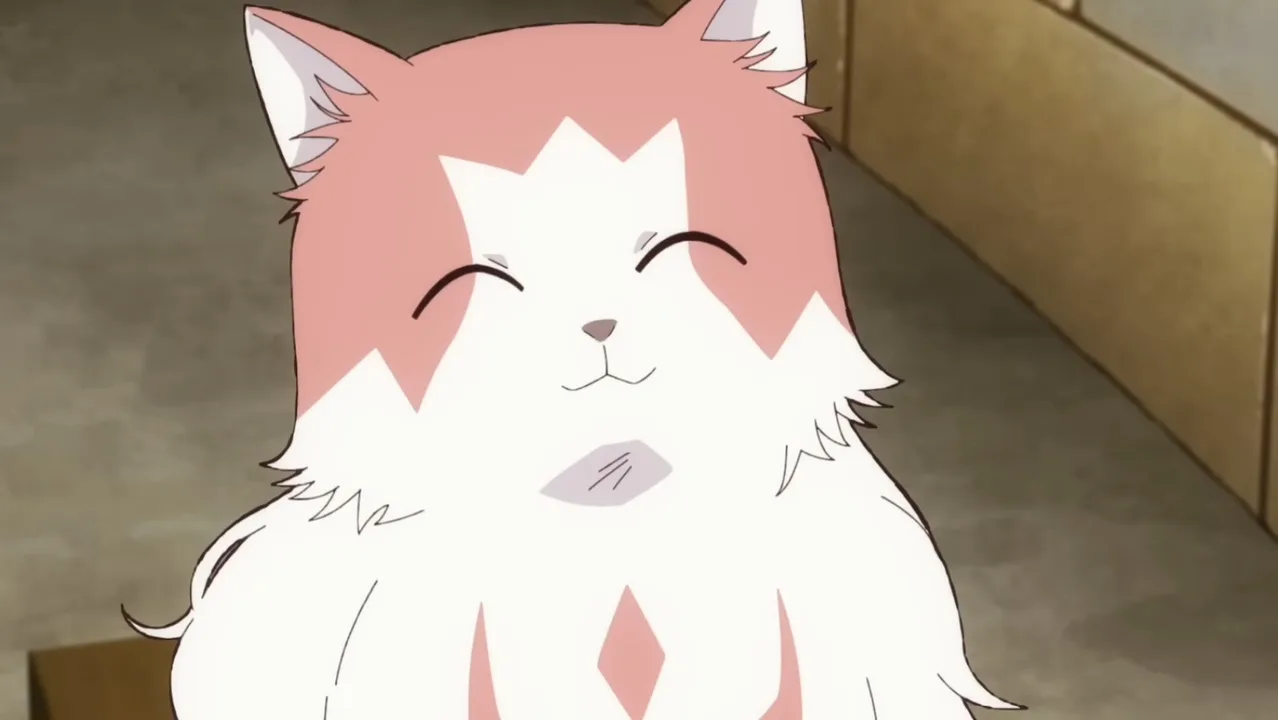 Help convince my boyfriend to let me have a cat