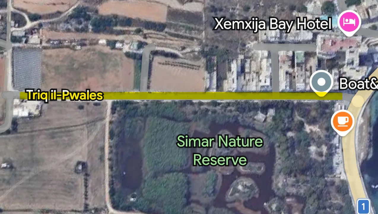 Help us stop dangerous driving in Triq il-Pwales (Xemxija).