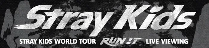 Stray Kids World Tour RUN IN Live Viewing in Tbilisi