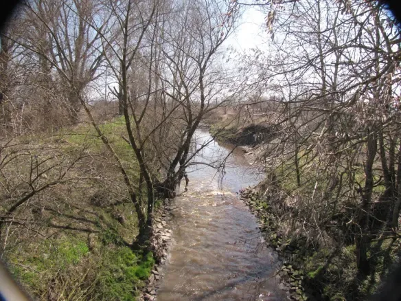 Clean and Restore the Local River in Lviv