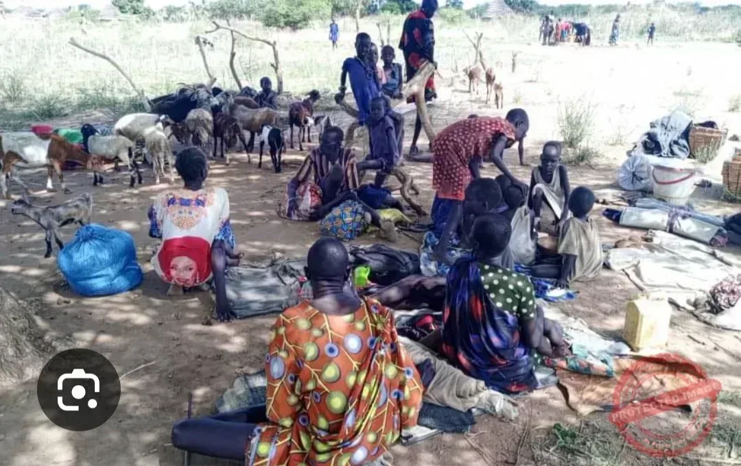 PETITION FOR INTERNAL FORCEFUL DISARMAMENT IN GREATER TONJ
