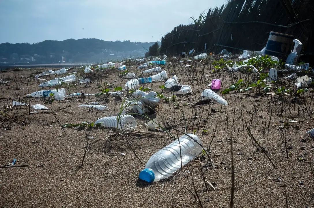 Eliminating Single-Use Plastics In Our Community