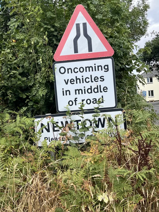 Reduce speed limit through Newtown