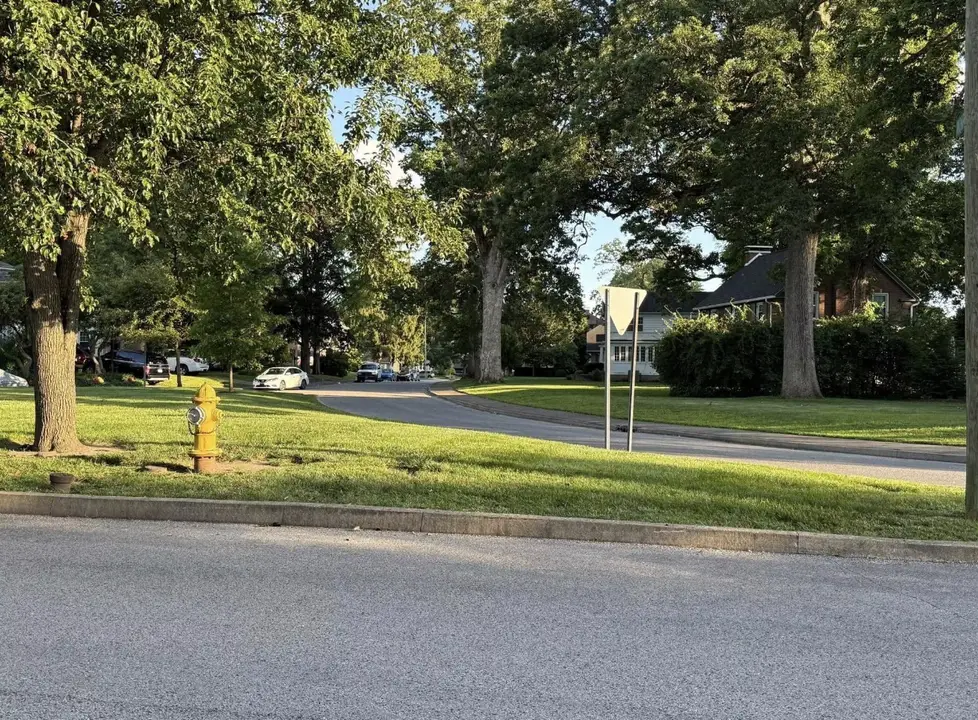 Petition for Edgewood Grove Park Improvements