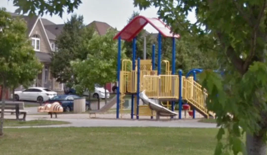 Transform Turnerberry Parkette into Modern Calisthenics Park