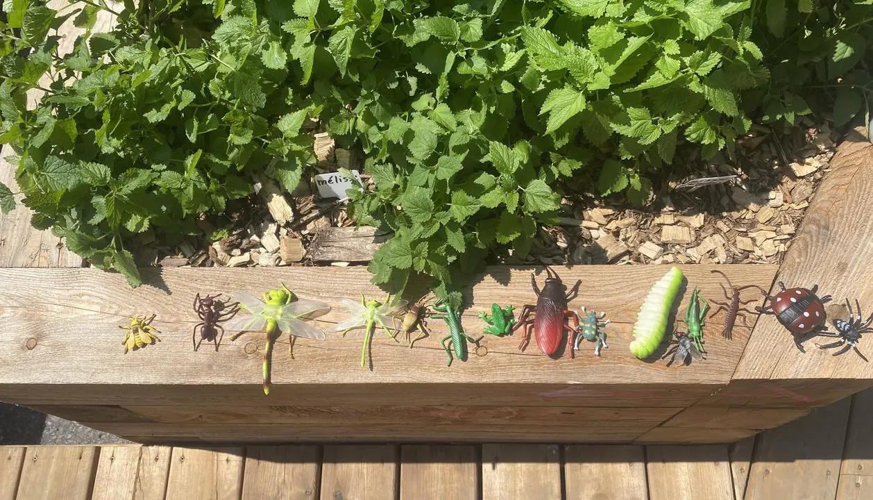 🌿 Les Jardins du monde gravement menacés à Milton-Parc