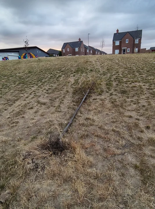 Groundskeeping for the environment, not the bottom line