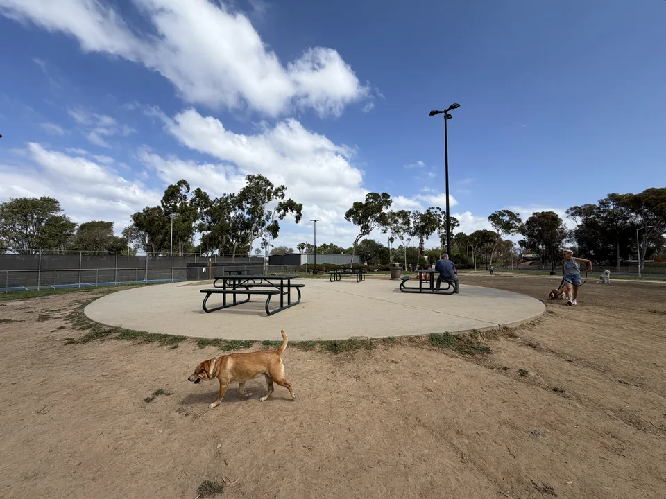 Protect Our Dogs & Community: Shade for Costa Mesa Bark Park