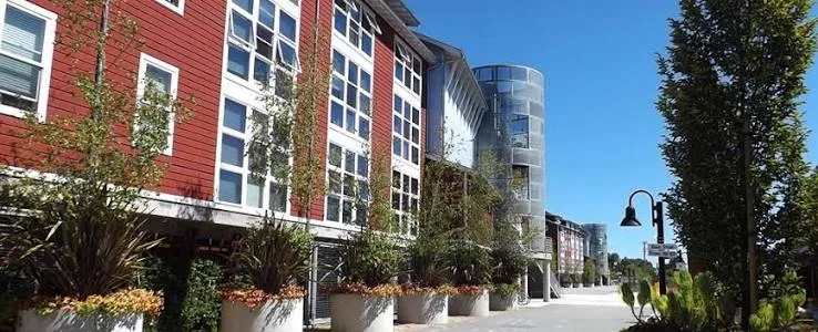 Petition for Increased Security Measures at the Tannery