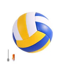 Give Riverside High School a volleyball team.