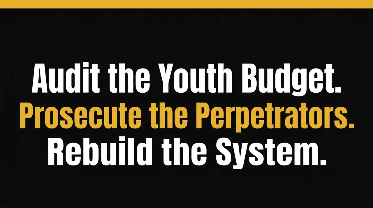 Audit The Youth Budget - President Ramaphosa