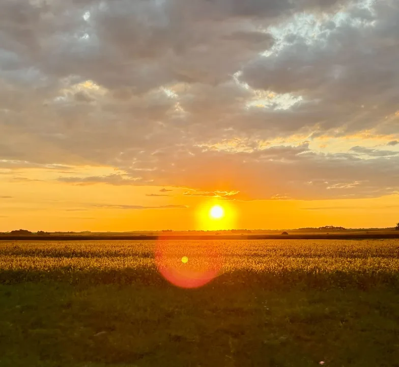 The fight to save our land