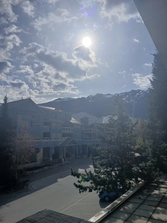 Ban Generative AI In Westwood Collegite