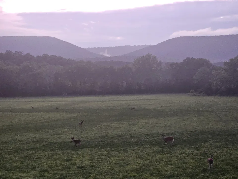 Keep Fort Valley Rural