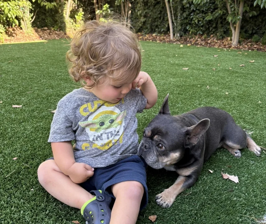 Petition to Allow Backyard Fences in Parc Vista